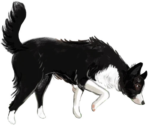 Dog Books for Kids by Carl L. Jablonski: Author – Fun Bedtime Stories